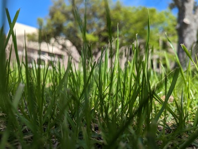 mark-page-grass-01 (4080x3072) - (c)2026 Mark Page