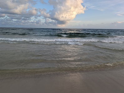 mark-page-gulf-02 (4080x3072) - (c)2026 Mark Page
