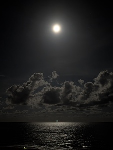 mark-page-gulf-night-01 (3072x4080) - (c)2026 Mark Page