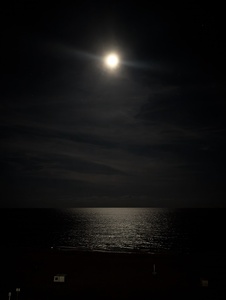 mark-page-gulf-night-02 (3072x4080) - (c)2026 Mark Page