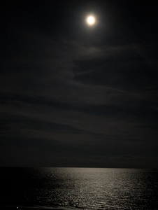 mark-page-gulf-night-03 (3072x4080) - (c)2026 Mark Page