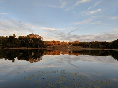 mark-page-lake-1 (4032x3024) - (c)2026 Mark Page