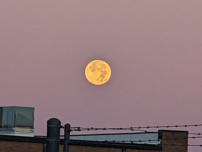 mark-page-moon-barbwire-01 (4080x3072) - (c)2026 Mark Page