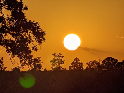 mark-page-sunset-01 (4080x3072) - (c)2026 Mark Page